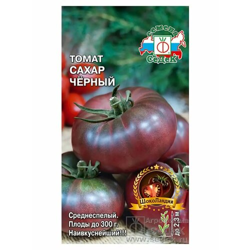 ������ ������ ����� 