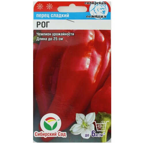 ������ ������ ������ ����� ������� 