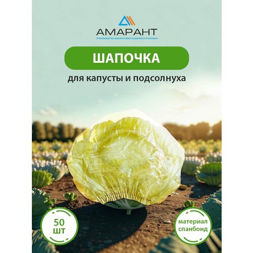 ������ ������ ������� ������� ��� ������� � ����������, ������ 50 �� ����