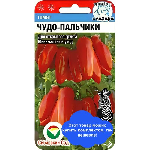 ������ ������ ����� ����-�������� ����