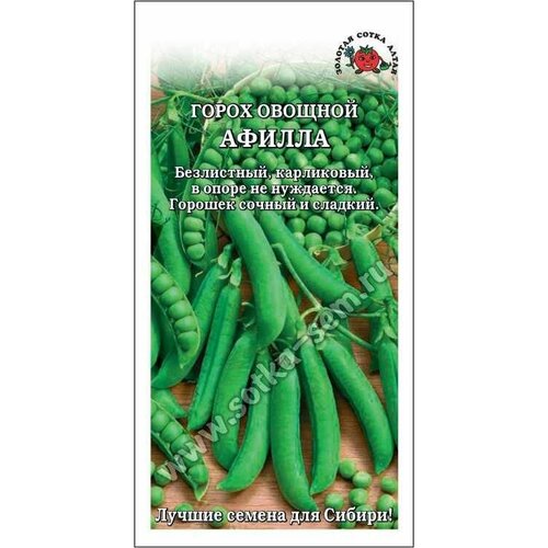 ������ ������ ������ ������ ������� ����� ����� 