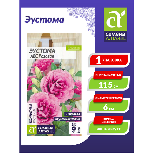 ������ ������ ������ ������� ABC ������� �������� 5 ��./��. ����