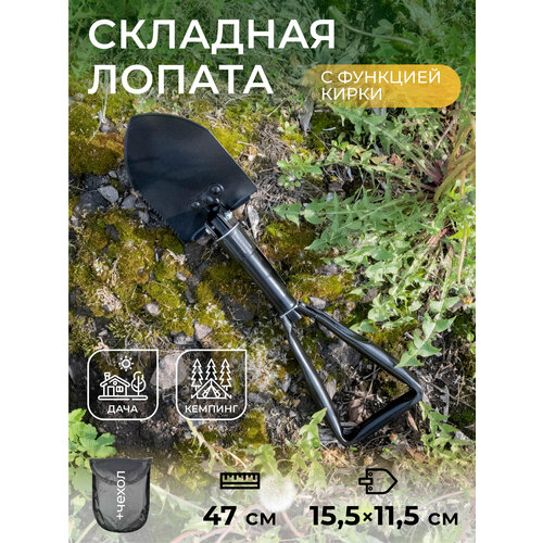 ������ ������ �������� ������ FWXF171 ����