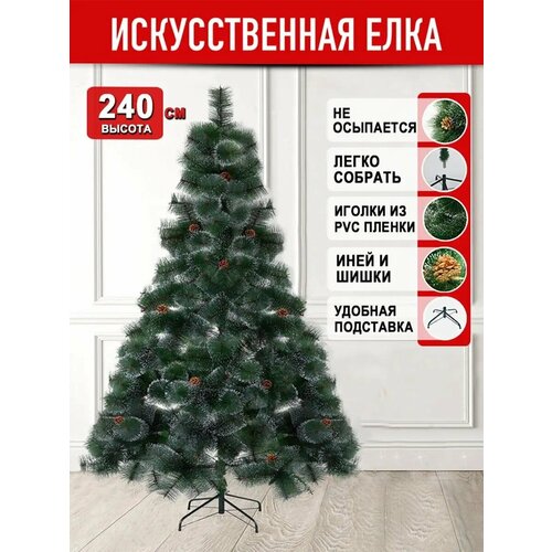 ������ ������ ���� ������������� � ������� � �����, 240 �� ����