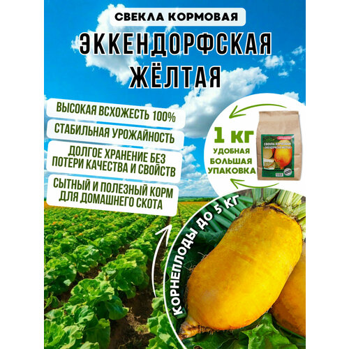 ������ ������ �������� ������ ������������� ������ ������ 1 ��. ����