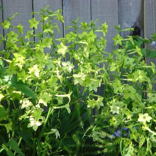 ������ ������ ������ ����� �������� (������������) ������ ���� 0.1 ������ ����� ������� ������ ����