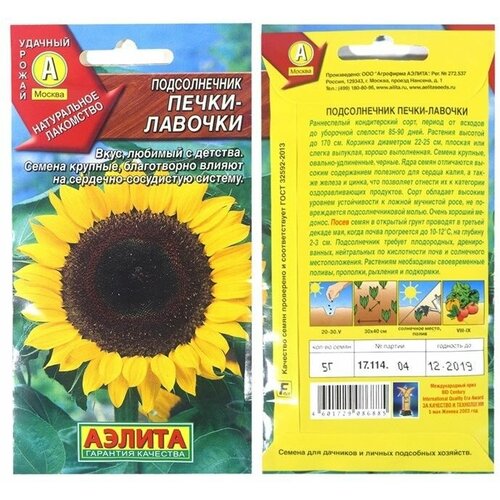 ������ ������ ������� ������������ 