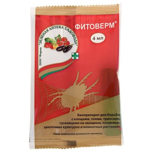 ������ ������ ����������� �� ���������-���������� �������� 