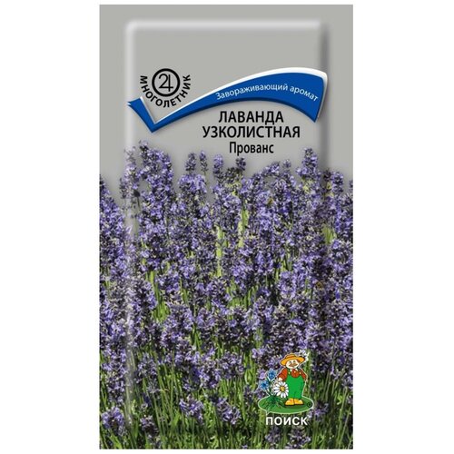 ������ ������ ������ ����� ������� ����������� ������� 0.1 � ����