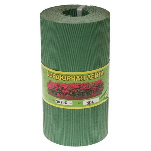 ������ ������ ��������� ����� Greengo 3253423, 10 � 0.3 �, ������� ����