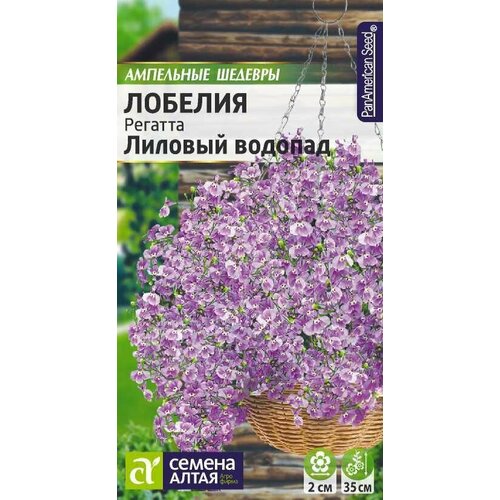 ������ ������ ������ ������� ������� ������� ������� ��������� 8�� 20�� (������ �����) ��������� ������� ����