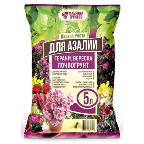 ������ ������ ����� ������� ������� ������ ����� ��� ������, 5 �, 2.3 �� ����