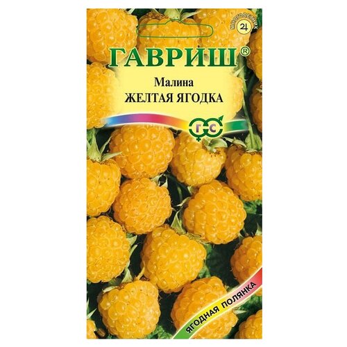 ������ ������ ������ ������ ������� ������� ������ ������ ������ 10 �� ����