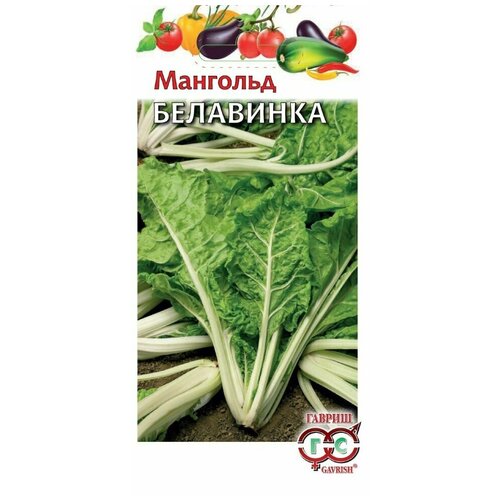 ������ ������ ������ �������� ���������, 2,0�, ������, ������� ���������, 10 �������� ����