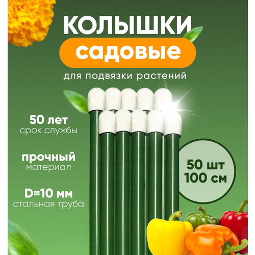 ������ ������ ������� ������� , ����� ��� �������� �������� ����� 1� 50�� ����