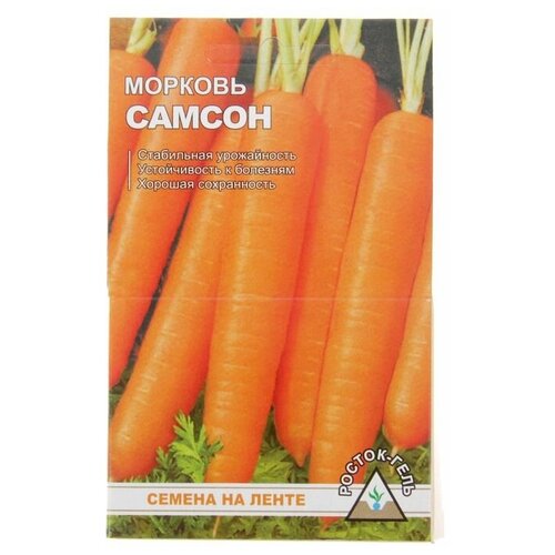 ������ ������ ������. ������� �� ����� 