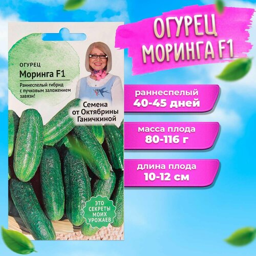 ������ ������ ������ ������� F1 10 �� ����