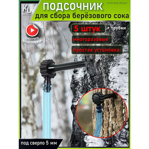 ������ ������ KoLeli / ����� ���������, �������������� ��� ����� ��������� ���� ����