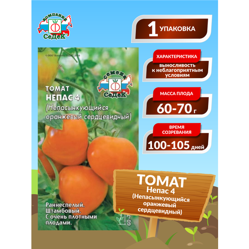 ������ ������ ������ ������ ����� 4 ��������� ����������� ����