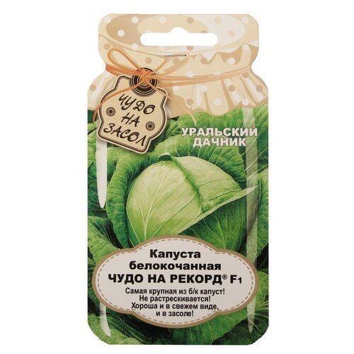 ������ ������ ������ ������� ������������ 