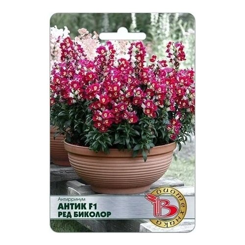 ������ ������ ���������� ����� F1 ��� �������, ����� 20 �� ����