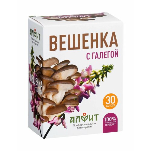 ������ ������ ������� � �������. ������� ������� (30 ������ � ��������) ����