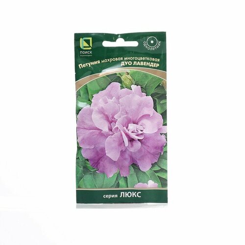 ������ ������ ����� ������ ������ ������� �������� �������������� 