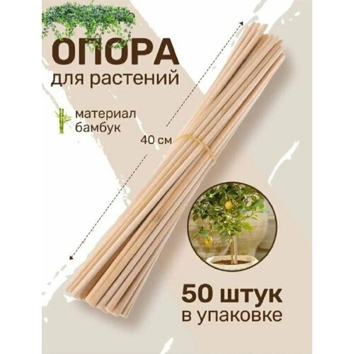 ������ ������ ������� ���������� ����� ��� ��������, ������ � �������, ����������� ����� 40 �� 50 ����, ������� ������� ������� 4 �� ����