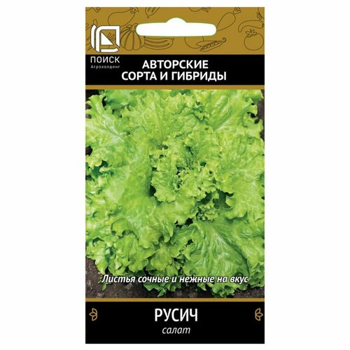 ������ ������ ������ ����� ����� �������� 1� (�����) ����� ����