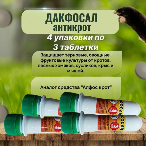 ������ ������ �������� �������� �������� ������ �� ������ 4 ���� �� 3 �������� ����