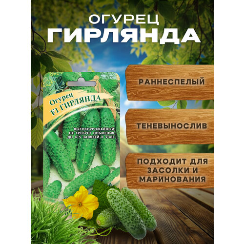 ������ ������ ������ ������� ������������� ��������, ������ ��� ��������� ������ � �����. ����