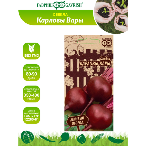 ������ ������ ������ ������ ������� ���� - ����� ������� ������ 3 ��. ����