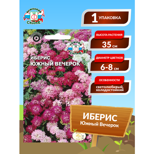 ������ ������ ������� ������ 