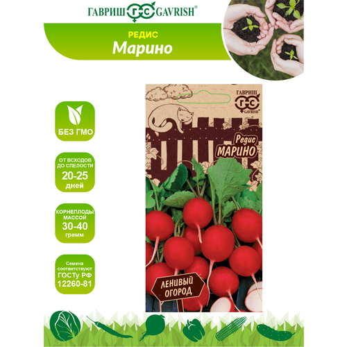 ������ ������ ������ ����� ������ ����� ������� ������ �21 2 ��. ����