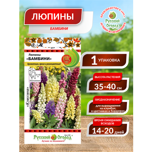 ������ ������ ������. �����. ����� 