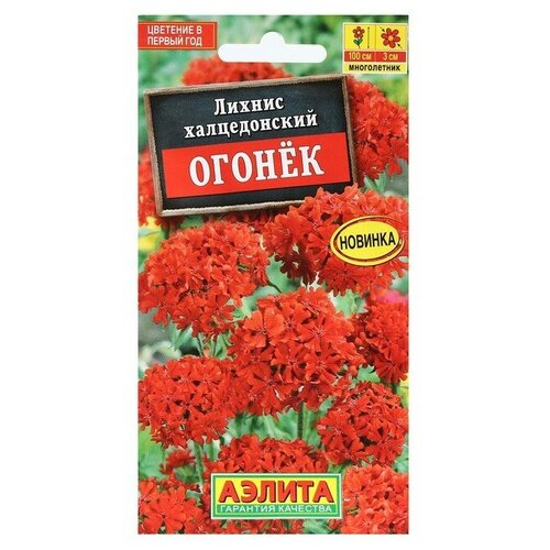 ������ ������ ������ ������ ������ ������, 0,1 � ����