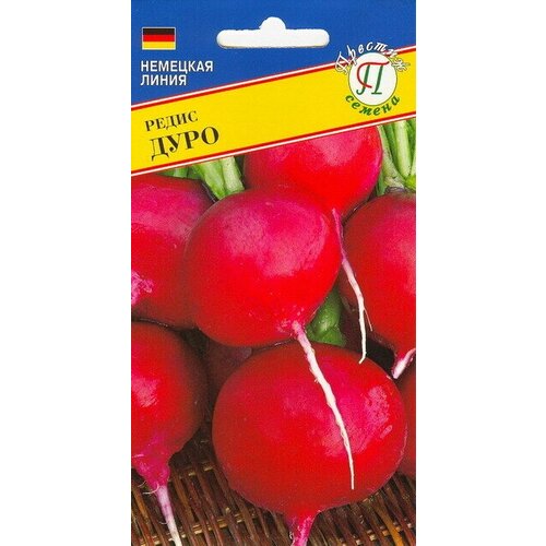 ������ ������ ����� ����. ������������ ����. ��������� �������� �����, �������, ��������� � �������� �� 10 ��, ������ 18-25 ��. ����