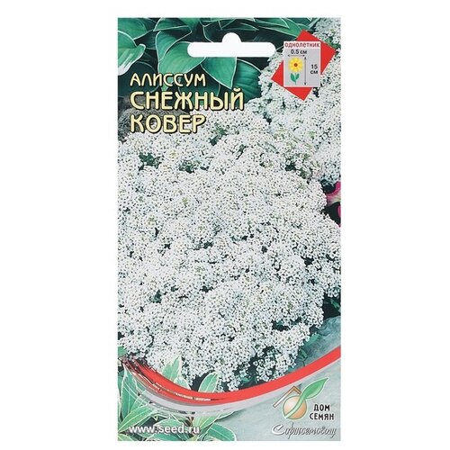 ������ ������ ������ ��� ����� ������� ������� �����, 180 �� ����