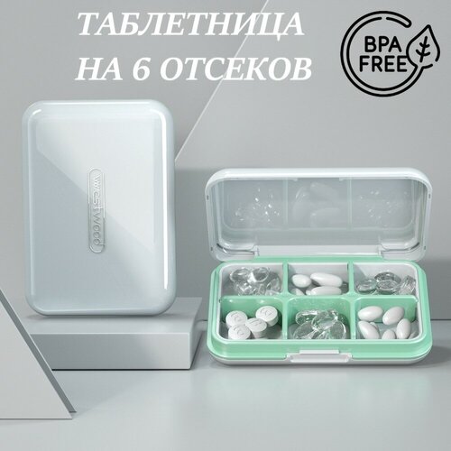 ������ ������ ��������� ���������� - ���������� �� 6 ������ ��� ��������, ���������, �����, ������. ����� ����