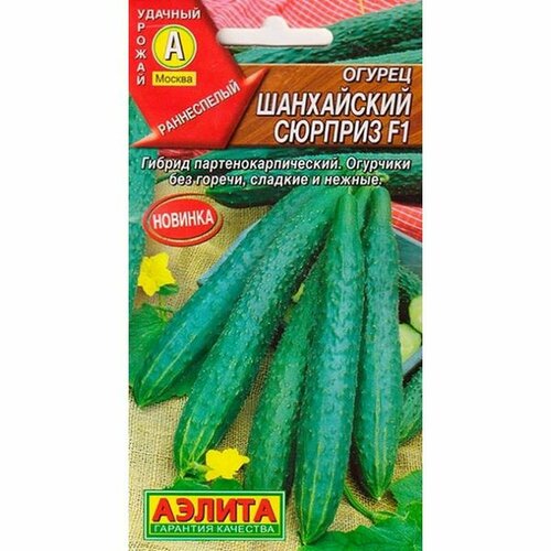 ������ ������ ������ ������ ���������� ������� F1 ����, �����������, (������) 10�� ����