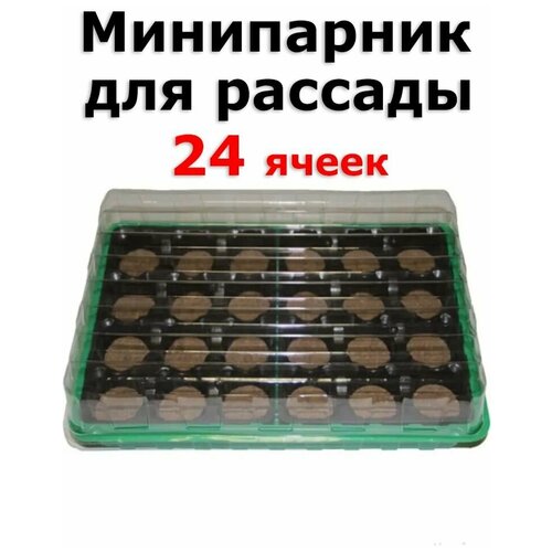 ������ ������ ���������� ��� ������� � 24 �������� �������� ��������� 41��, �������, �����, ������ ����