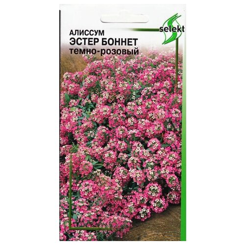 ������ ������ ������� ������ ������, ����-�������, 20 ����� ����