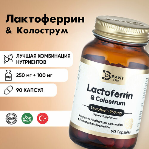 ������ ������ ����������� 250 + ��������� 100 �� / ��� ���������� / 90 ������ / ������ / ������ ����