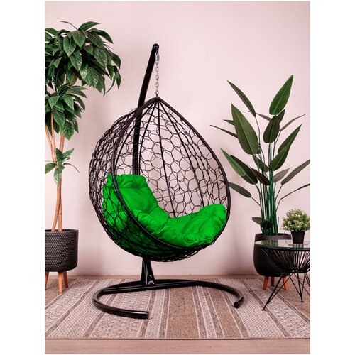 ������ ������ ��������� ������ M-Group ����� ������ �����, ������ ������� ����