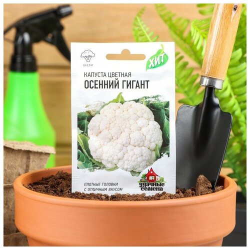 ������ ������ ������ ������� ������� 