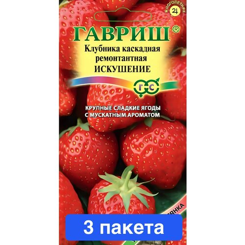 ������ ������ ������ ������ ������ 