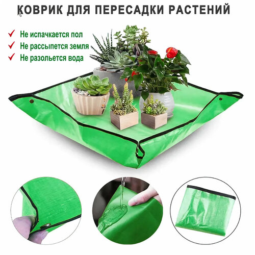 ������ ������ ������ ��� ��������� �������� � ������ / ������ ��� ������� ������� / ��������� �������� / ������� ������ ����