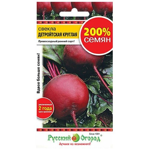 ������ ������ ������� ������ 