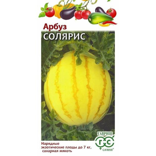 ������ ������ ������ ����� ������� 5 �� � ������ ������� (������) ����