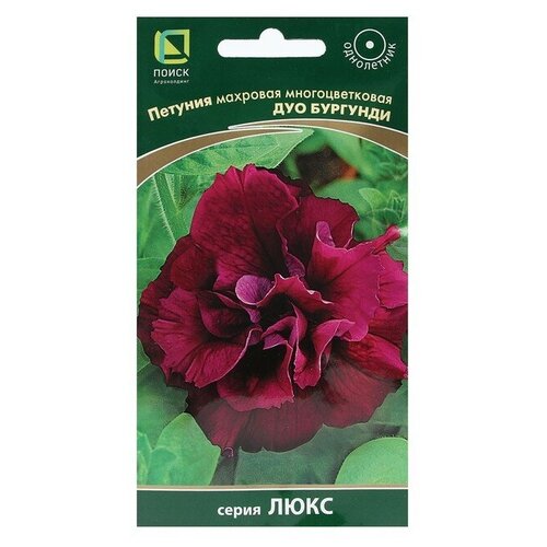 ������ ������ ������ ������� ����� ��� �������� 1 � 10 �� ����